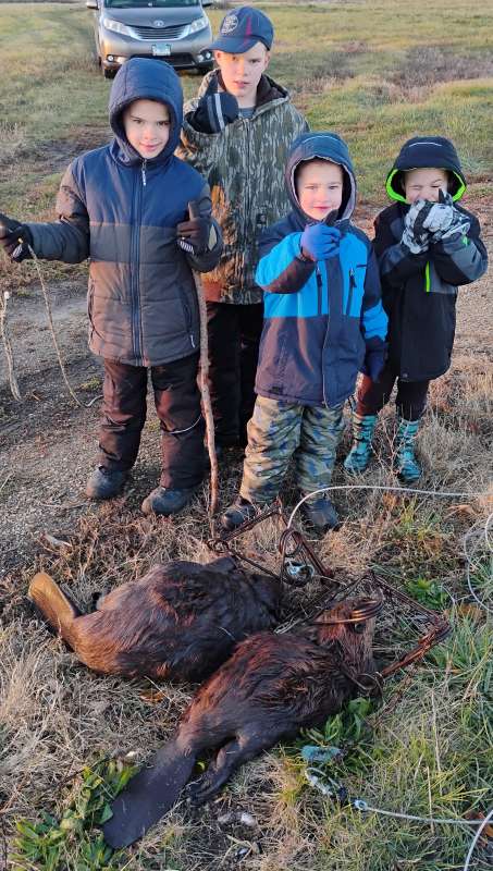 Name: IMG_20251114_070300873 (1).jpg
Views: 91
Size: 82.9 KB
ID: 28002 IMG_20251114_070300873 (1).jpg